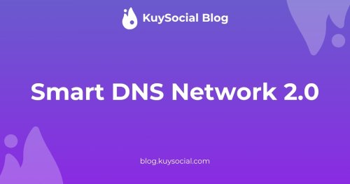 Smart DNS Network 2.0